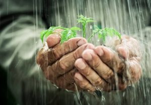 rainfall and private water supplies