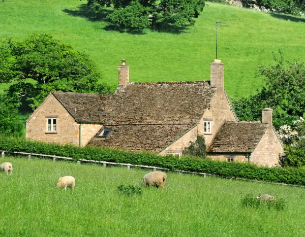 Springhill rural